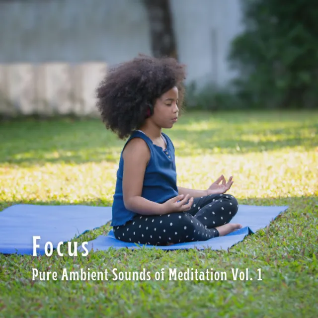 Focus: Pure Ambient Sounds of Meditation Vol. 1