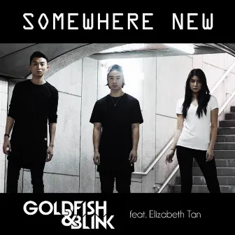 Somewhere New (feat. Elizabeth Tan) by Blink