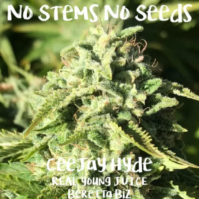 No Stems No Seeds