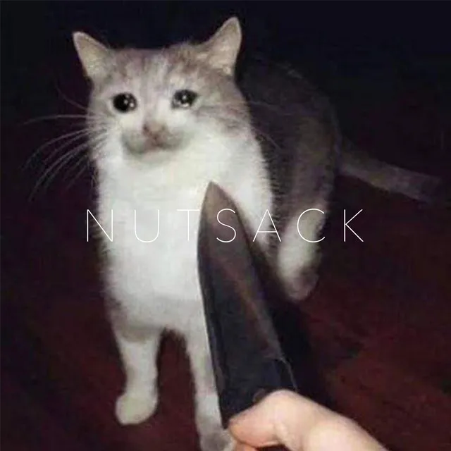 Nutsack