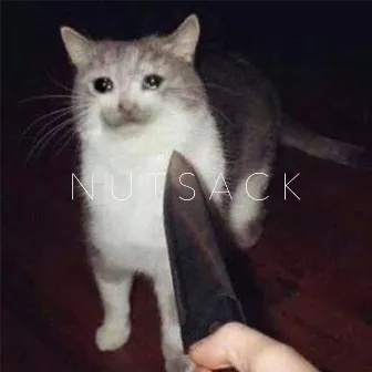 Nutsack by SF