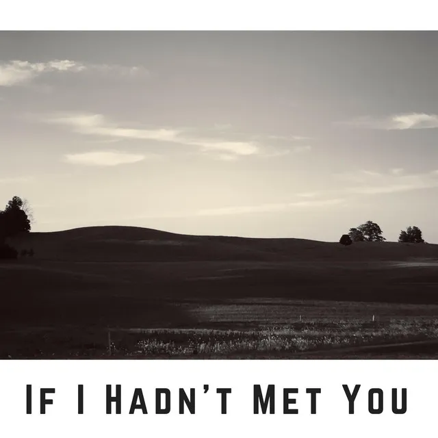 If I Hadn't Met You