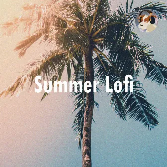 Summer Lofi by JoHop Music