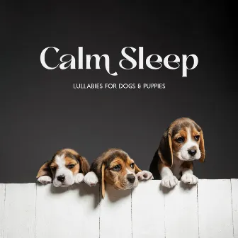 Calm Sleep Lullabies for Dogs & Puppies: Soothing Music to Help Your Puppy Go to Sleep at Night, Relaxation Bedtime Songs by Sleepy Dogs!