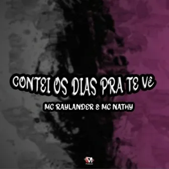 Contei os Dias pra Te Ver by Mc Raylander