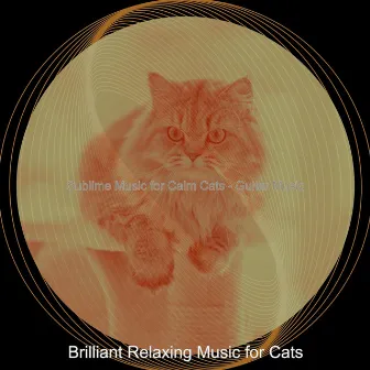 Sublime Music for Calm Cats - Guitar Music by Brilliant Relaxing Music for Cats