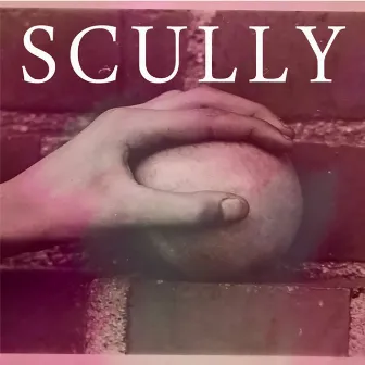 Encounters by Scully