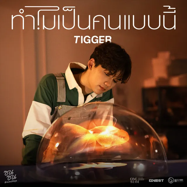 ทำไมเป็นคนแบบนี้ (ซนซน 40 ปี GMM GRAMMY) - Single