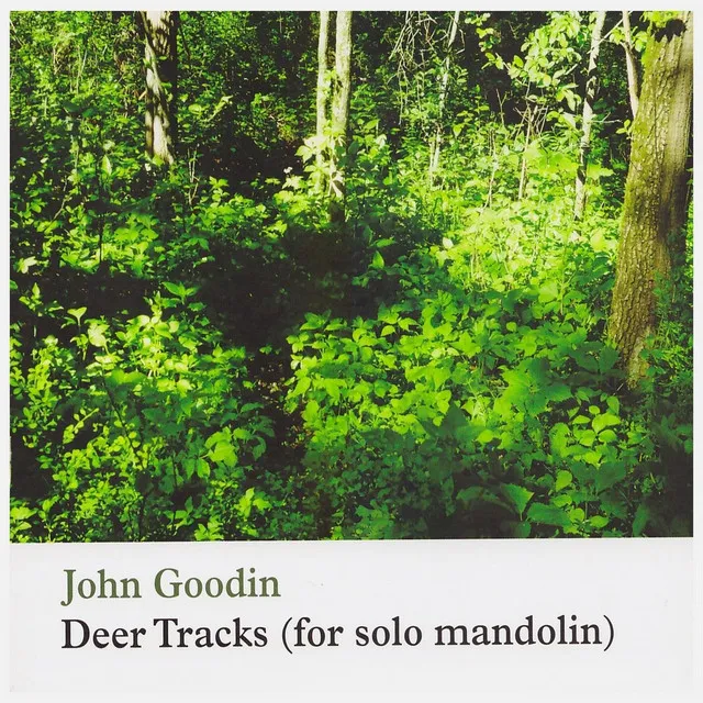 Deer Track, June 25, 2003