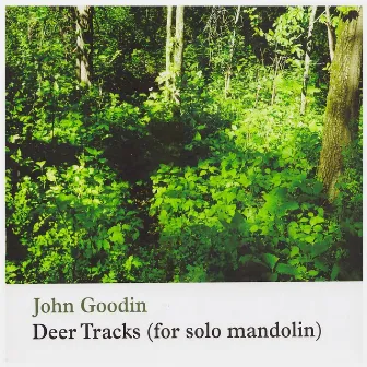 Deer Tracks (For Solo Mandolin) by John Goodin