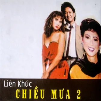 Liên khúc chiều mưa 2 by Kim ANh