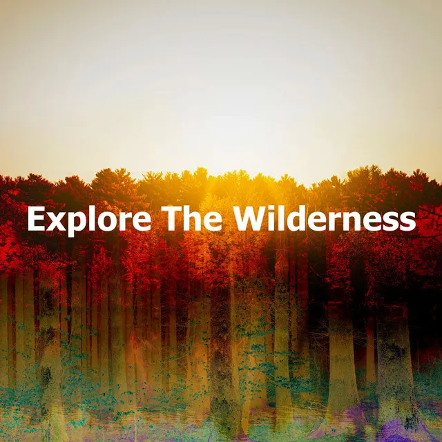 Explore The Wilderness