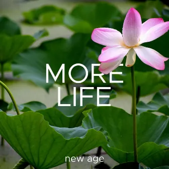 More Life - The Ultimate Collection of New Age Relaxing Music by Meditation Tribe