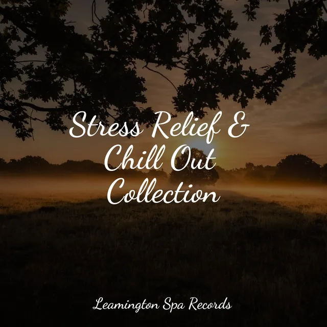 Stress Relief & Chill Out Collection