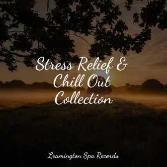 Stress Relief & Chill Out Collection by Tonal Meditation Collective