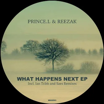 What Happens Next EP by Reezak