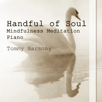 Handful of Soul: Mindfulness Meditation Piano by Tommy Harmony