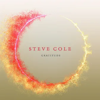 Gratitude by Steve Cole