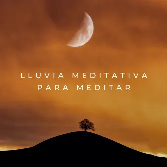 Lluvia Meditativa Para Meditar by Música pura de meditación