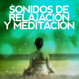 Sonidos de Relajación y Meditación by Unknown Artist