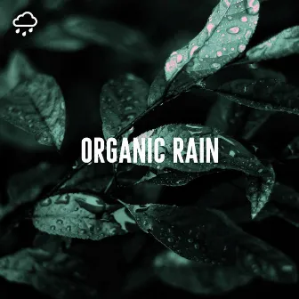 Organic Rain by Relaxing Rain Recordings