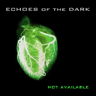 Not Available by Echoes Of The Dark