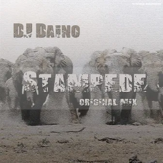 Stampede by DJ Daino