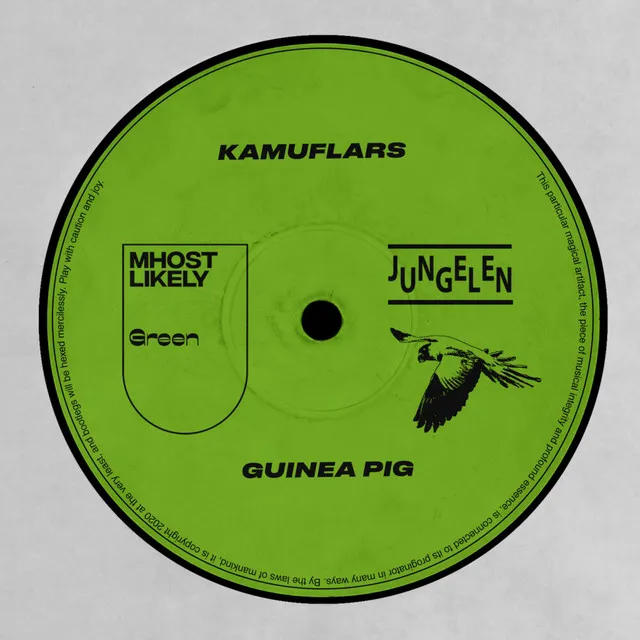 Guinea Pig (Reidar Bruun Remix)