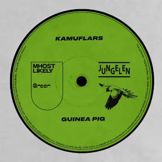 Guinea Pig (Reidar Bruun Remix) by Kamuflars