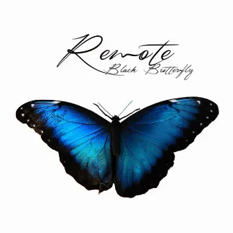 Black Butterfly by Remote