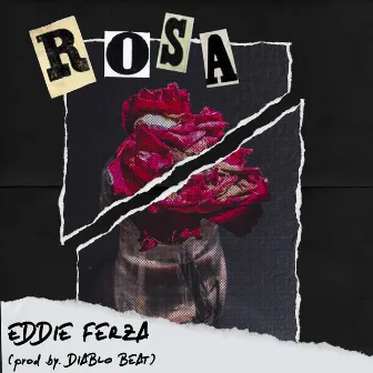 Rosa by Eddie Ferza