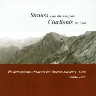 Strauss: An Alpine Symphony - Ciurlionis: Miske by Philharmonisches Orchester Altenburg-Gera