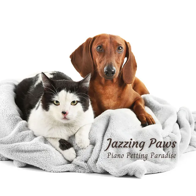 Jazzing Paws: Piano Petting Paradise