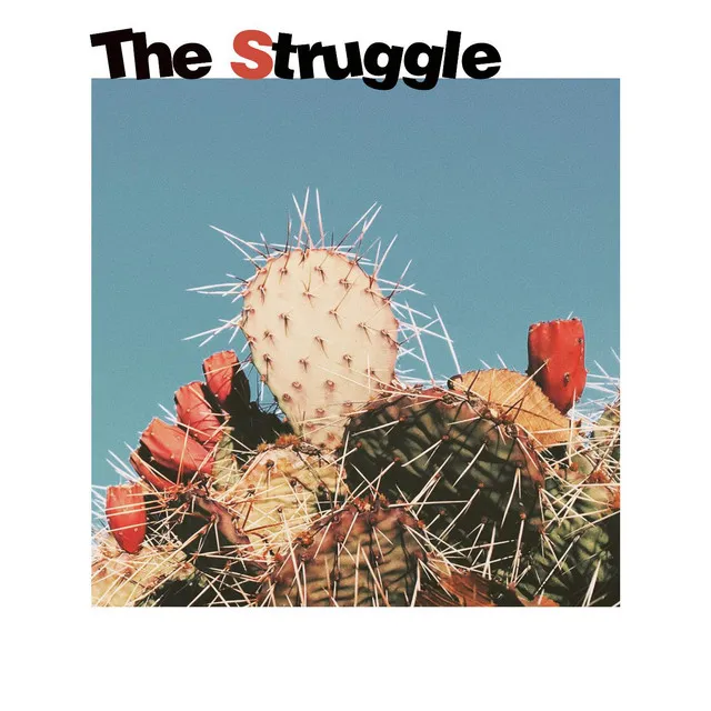 The Struggle (feat. Nico Marks)