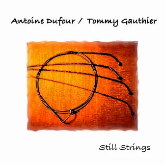 Still Strings by Tommy Gauthier