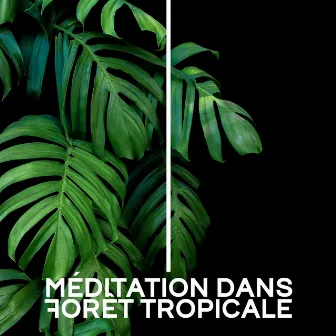 Méditation dans Forêt Tropicale: Réveil Spirituel et l'Hypnose de Sommeil by Ensamble de Musique Méditation