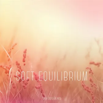 Soft Equilibrium by Everlight