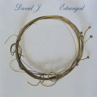 Estranged by David J