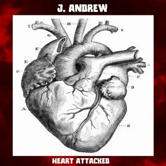 Heart Attacked by J. Andrew