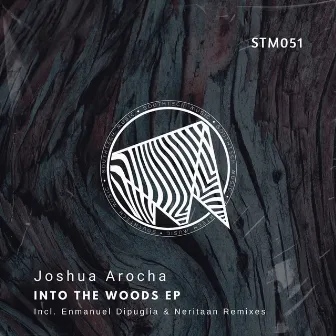 Into The Woods EP by Joshua Arocha