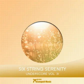 Six String Serenity by Unknown Artist