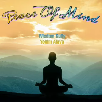 Peace Of Mind by Wisdom Gully