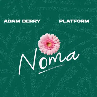 Noma by Adam Berry