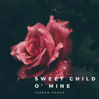 Sweet Child O' Mine by Jordan Kaahn