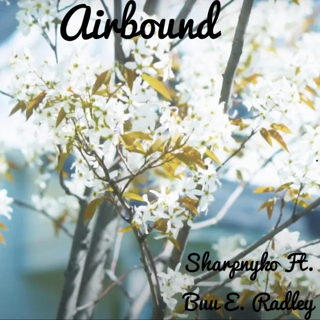 Airbound