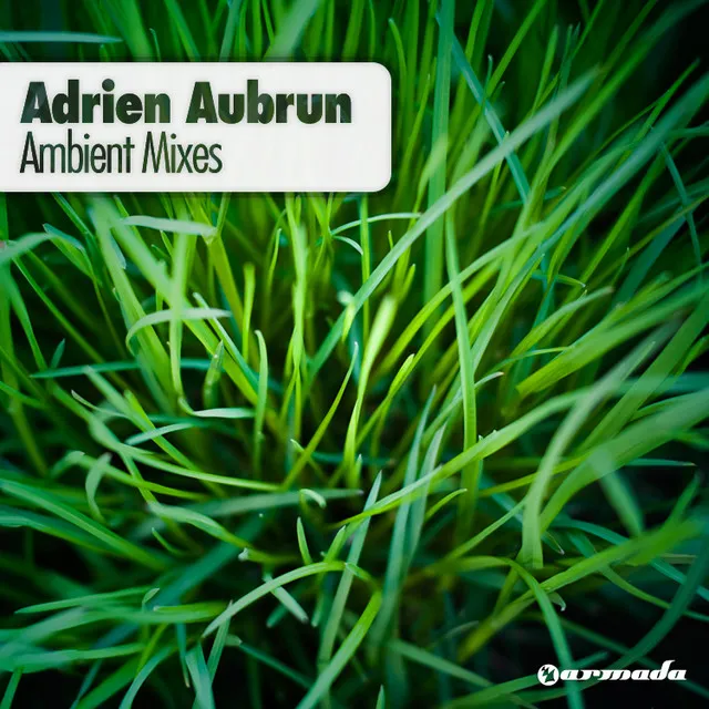 What Do You See? - Adrien Aubrun Ambient Mix