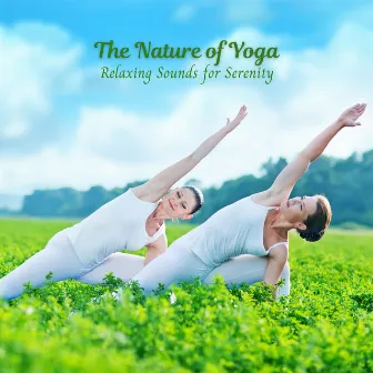 The Nature of Yoga: Relaxing Sounds for Serenity by American Native