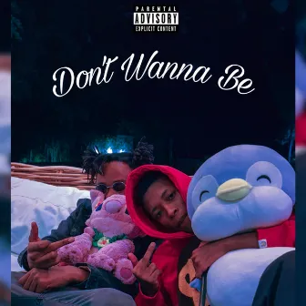 Don't Wanna Be by Nappy Katt