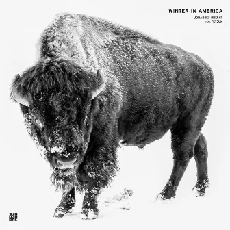 Winter in America by Johannes Brecht