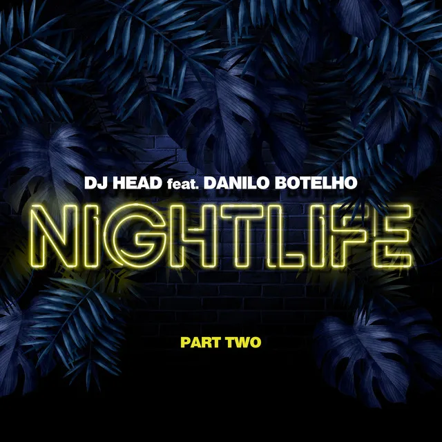 Nightlife - Rafael Dutra Remix